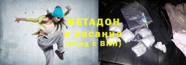 прущие грибы Новодвинск