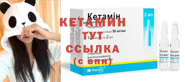 прущие грибы Новодвинск