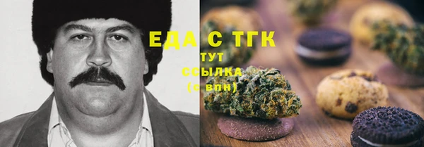 индика Новокубанск