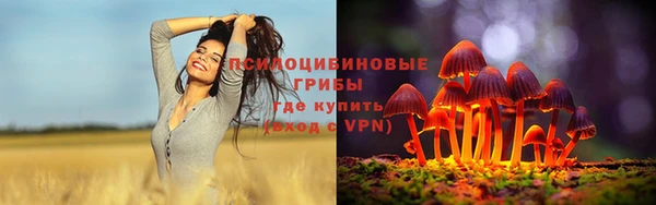 индика Новокубанск