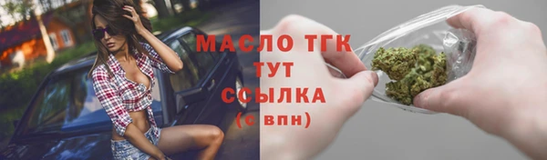 прущие грибы Новодвинск