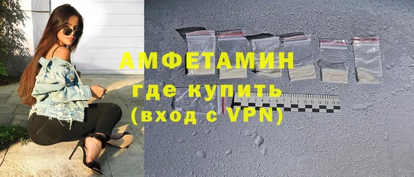 шишки Белая Холуница