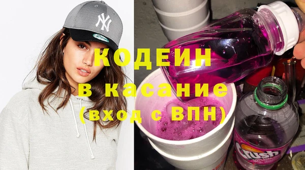 прущие грибы Новодвинск