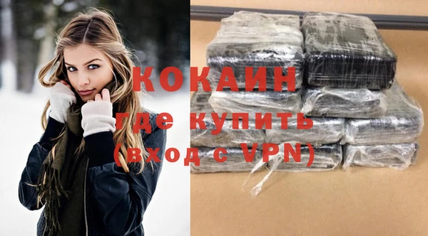 прущие грибы Новодвинск