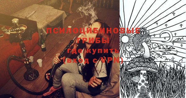 индика Новокубанск