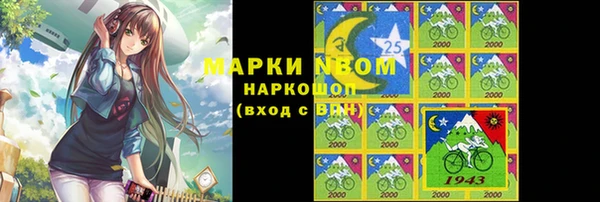 индика Новокубанск