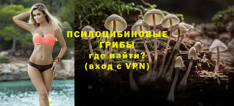 наркота  Анапа  Галлюциногенные грибы MAGIC MUSHROOMS 