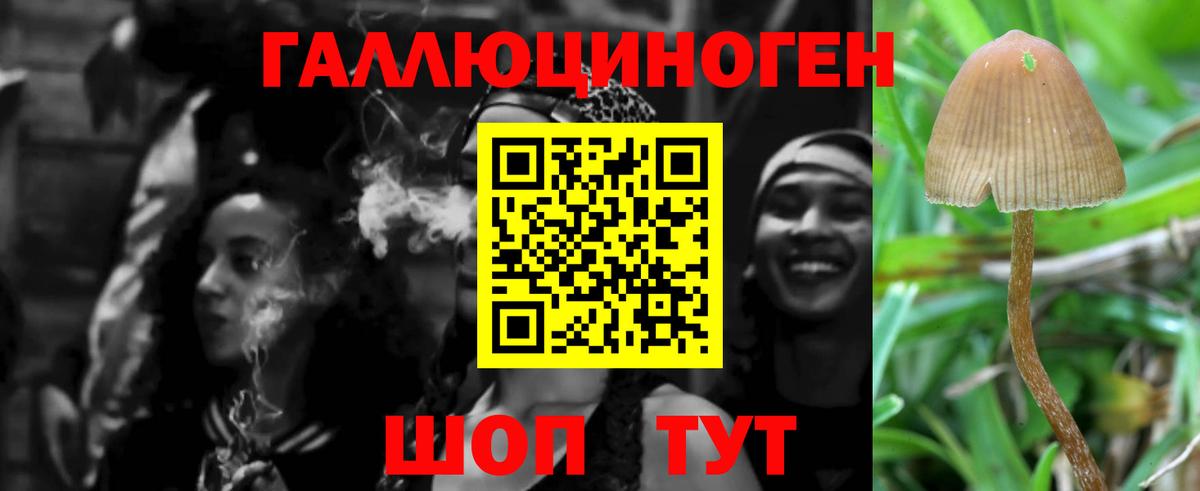 Псилоцибиновые грибы мицелий  Анапа 